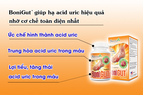 Công thức vượt trội của BoniGut +