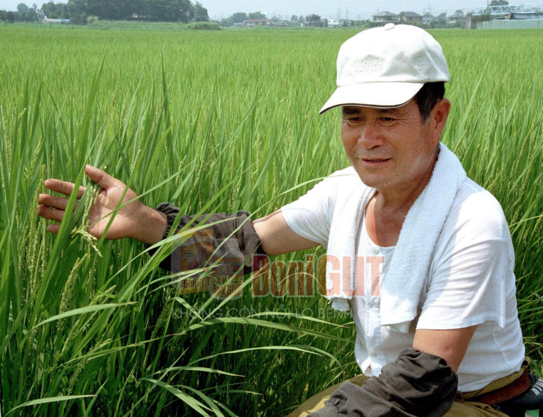 Chú Nguyễn Văn Vĩnh (65 tuổi)