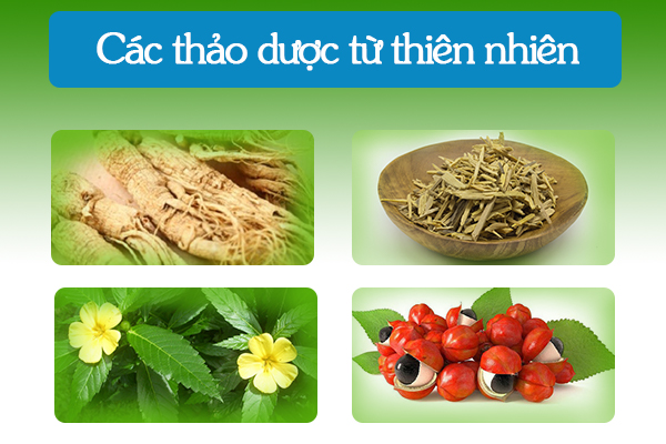 Các thảo dược từ thiên nhiên trong BoniSeal +