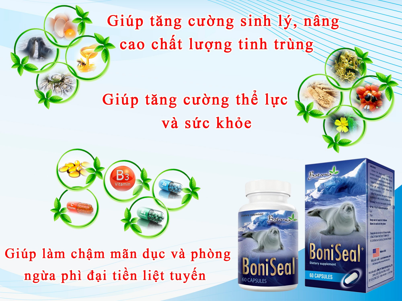 Thành phần của BoniSeal +