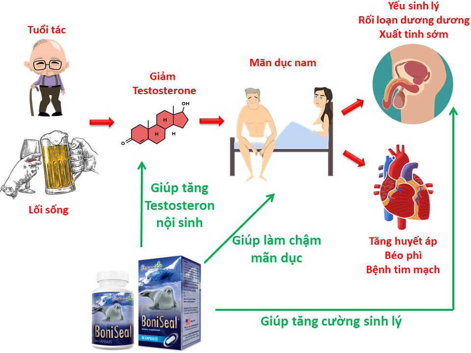 Cơ chế tác động của sản phẩm BoniSeal +