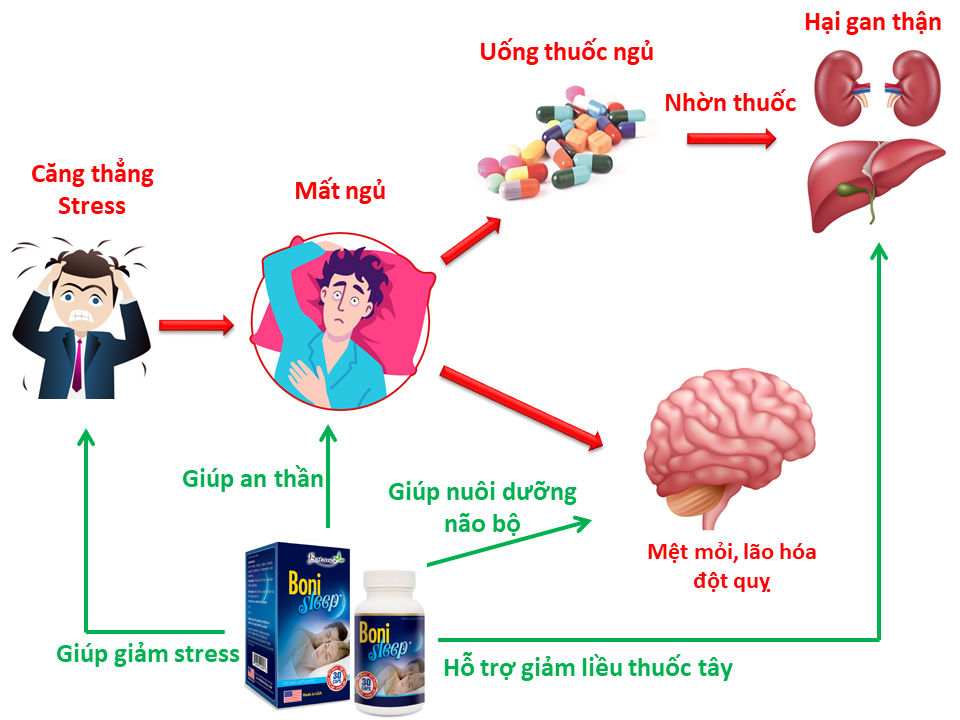 BoniSleep+ giúp giấc ngủ ngon quay trở lại