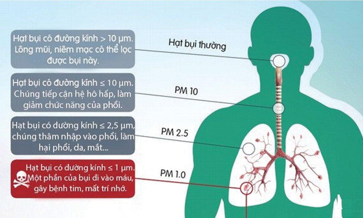 Tác hại của bụi mịn và bụi nano