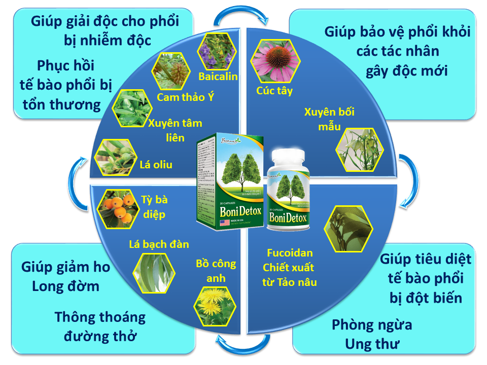 Cơ chế tác động toàn diện của BoniDetox