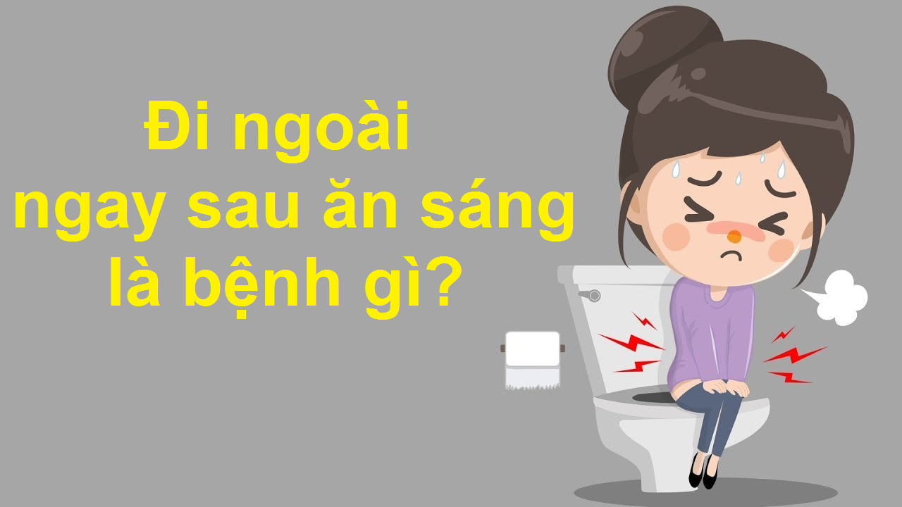 Đi ngoài ngay sau ăn sáng là bệnh gì? Làm sao để khắc phục?