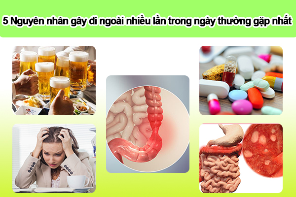 Nguyên nhân gây đi ngoài nhiều lần trong ngày là gì?