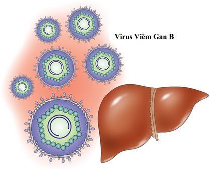 hết lo viêm gan b với unidetox